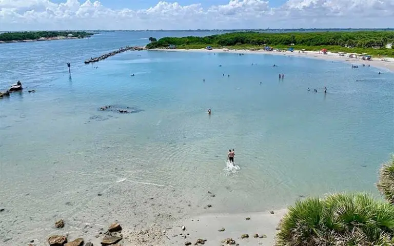 Metal detecting service at Sebastian Inlet State Park